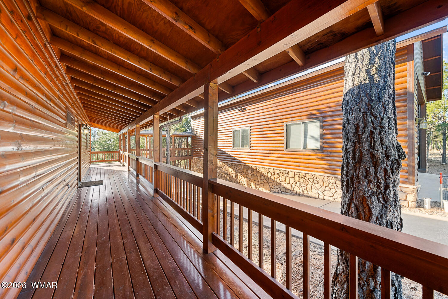 2940 Constellation Lane Overgaard, AZ 85933 - Photo 52 of 86 Side Deck