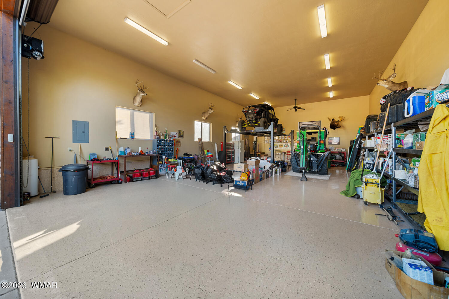 2940 Constellation Lane Overgaard, AZ 85933 - Photo 57 of 86 Metal shelving in garage