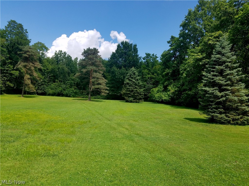 6811 Buffham Road Seville, OH 44273 - Photo 13 of 21 Gallery Image 13
