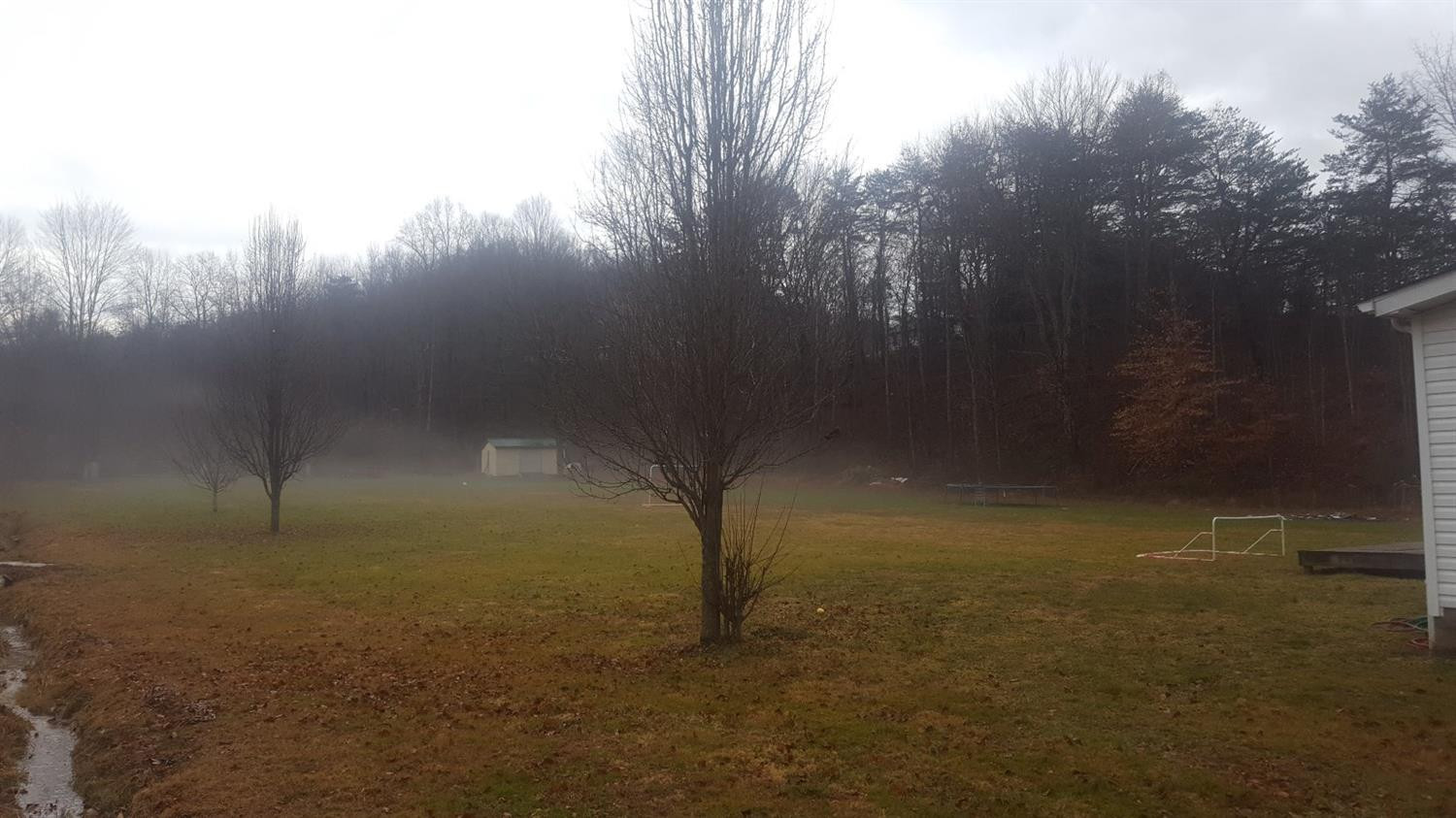 300 Spout Springs Road Irvine, KY 40336 - Photo 8 of 25 Photo 8