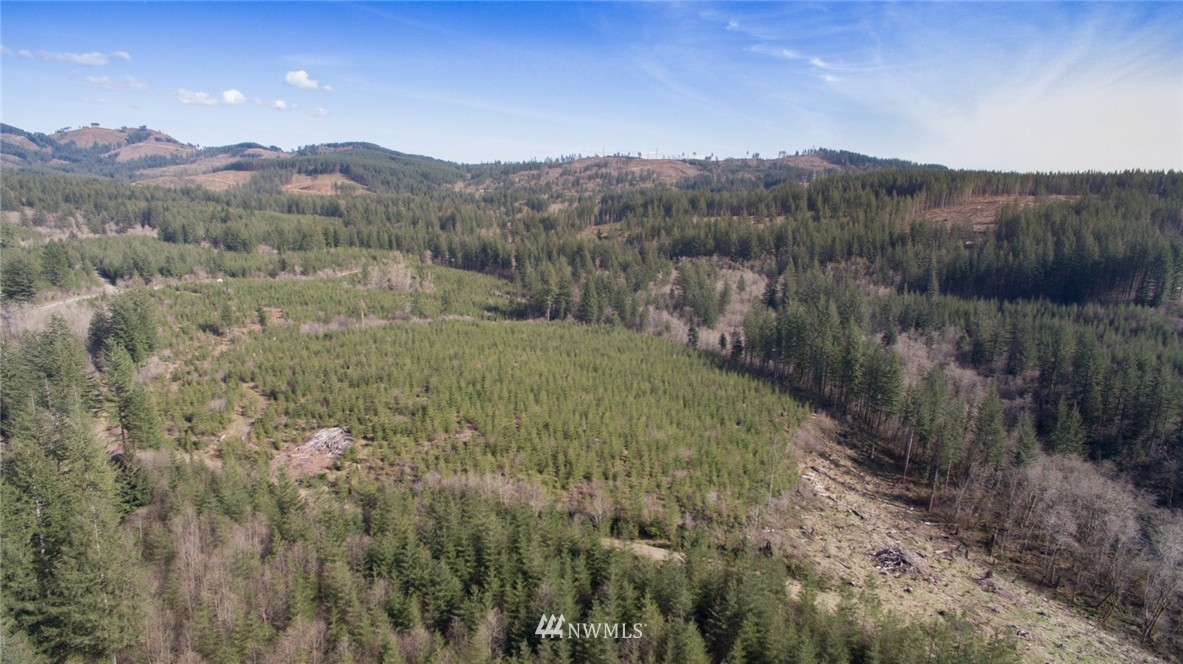 7 Northeast Boulder Creek Road Camas, WA 98607 - Photo 2 of 20