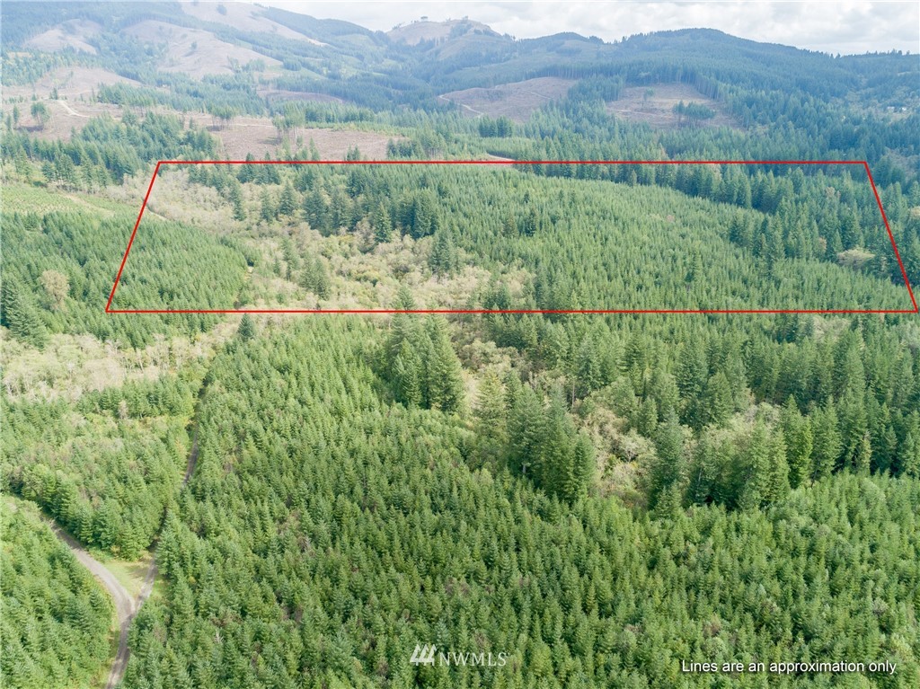 7 Northeast Boulder Creek Road Camas, WA 98607 - Photo 11 of 20