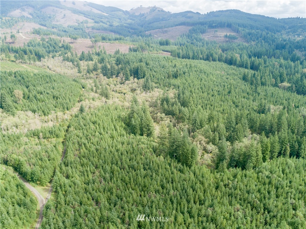 7 Northeast Boulder Creek Road Camas, WA 98607 - Photo 12 of 20