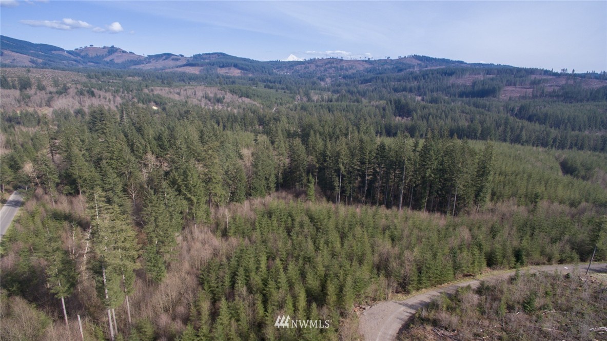 7 Northeast Boulder Creek Road Camas, WA 98607 - Photo 3 of 20