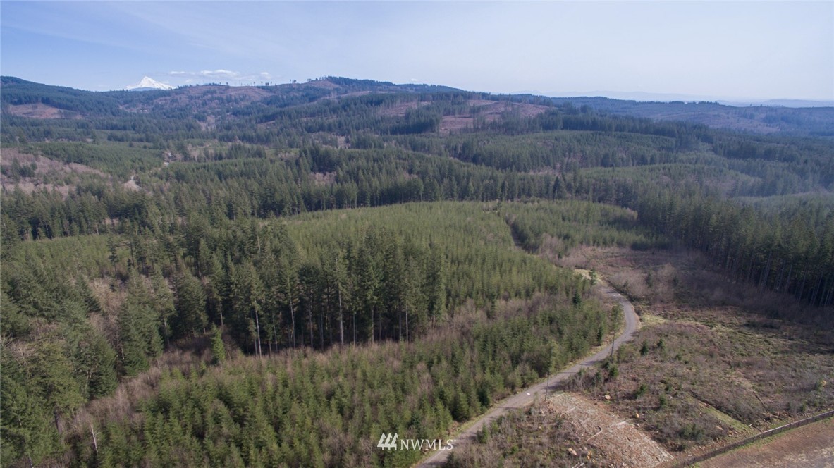 7 Northeast Boulder Creek Road Camas, WA 98607 - Photo 4 of 20