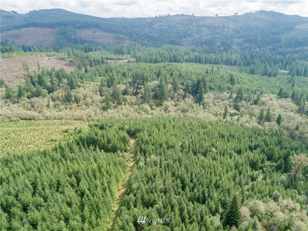 7 Northeast Boulder Creek Road Camas, WA 98607 - Photo 10 of 20