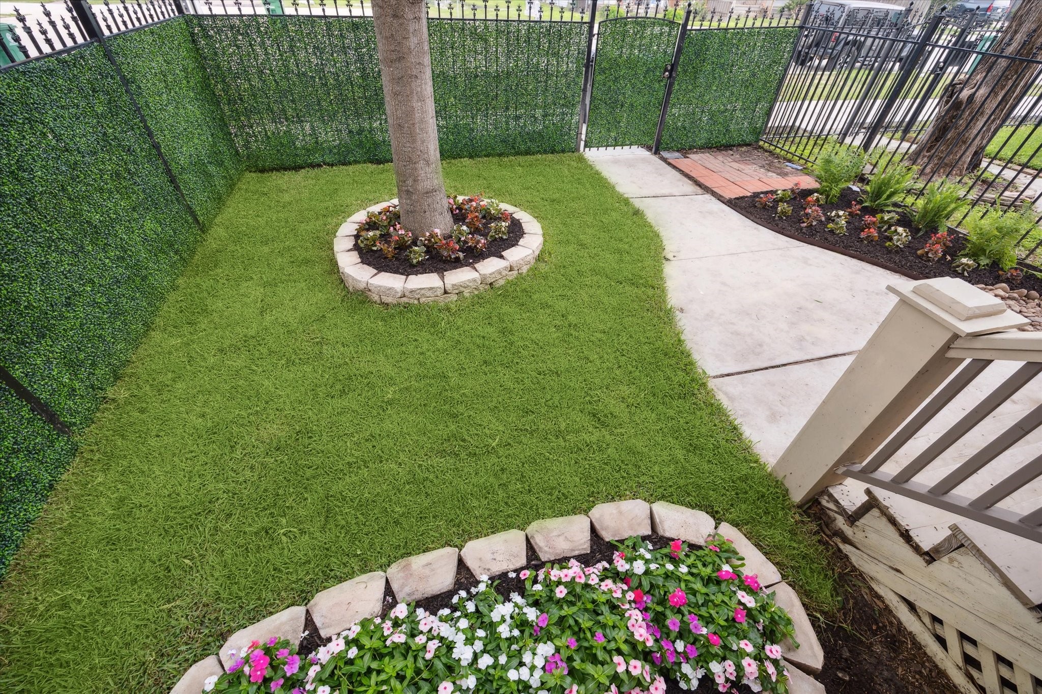 809 West 20th Street Houston, TX 77008 - Photo 5 of 39 a view of a garden with a flower garden
