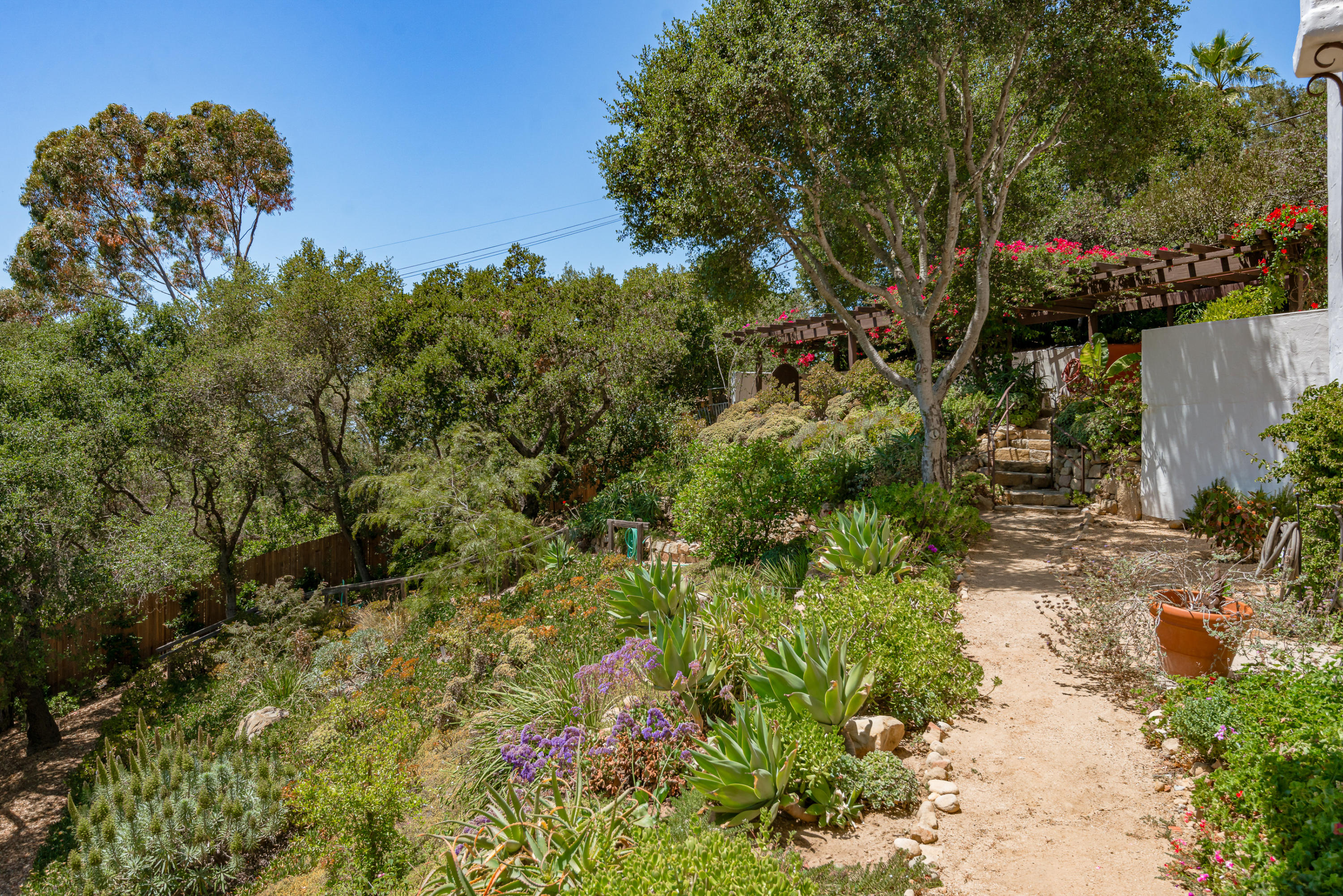 2217 Mission Ridge Road Santa Barbara, CA 93103 - Photo 54 of 57 a view of a garden with a tree