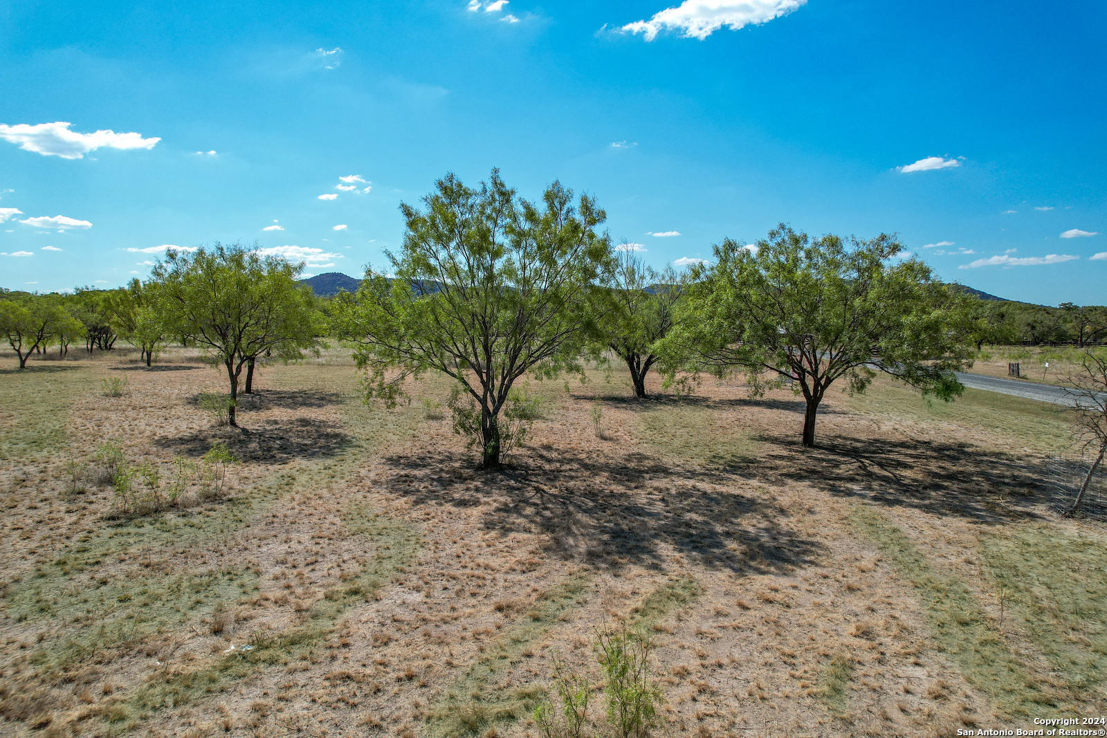 92 Ridge Loop Rio Frio, TX 78879 - Photo 11 of 16 a view of a yard with a tree