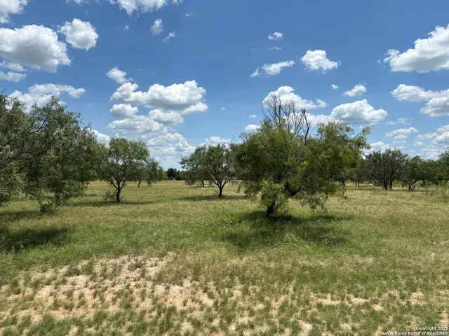 a view of a field with an trees in the background
