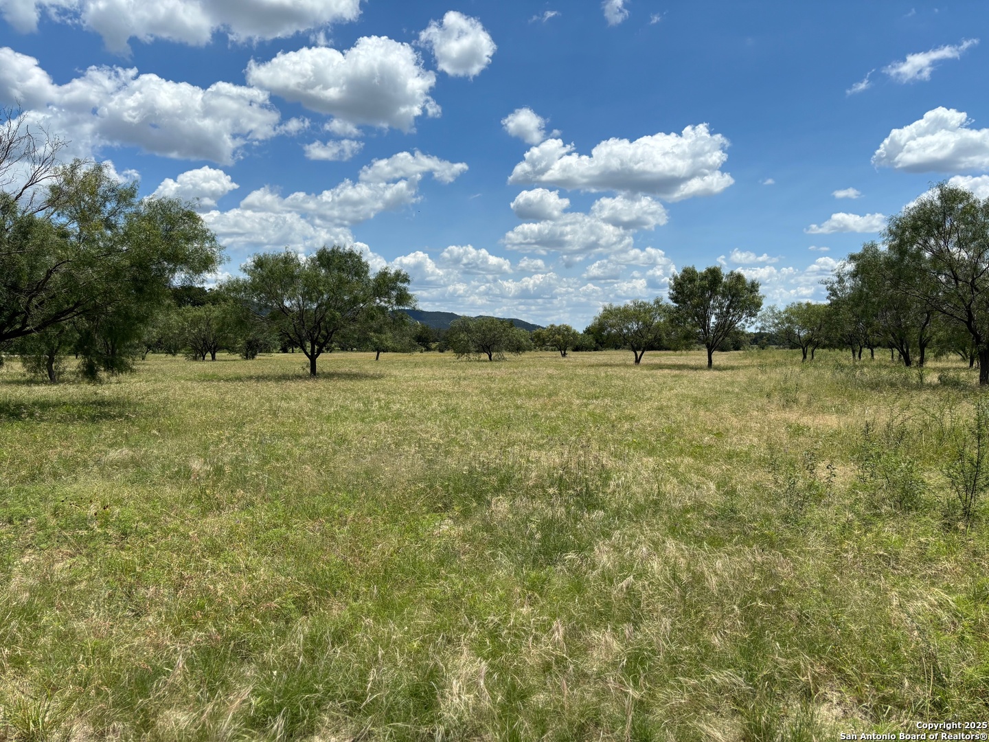 92 Ridge Loop Rio Frio, TX 78879 - Photo 13 of 16 a view of a field with an trees in the background