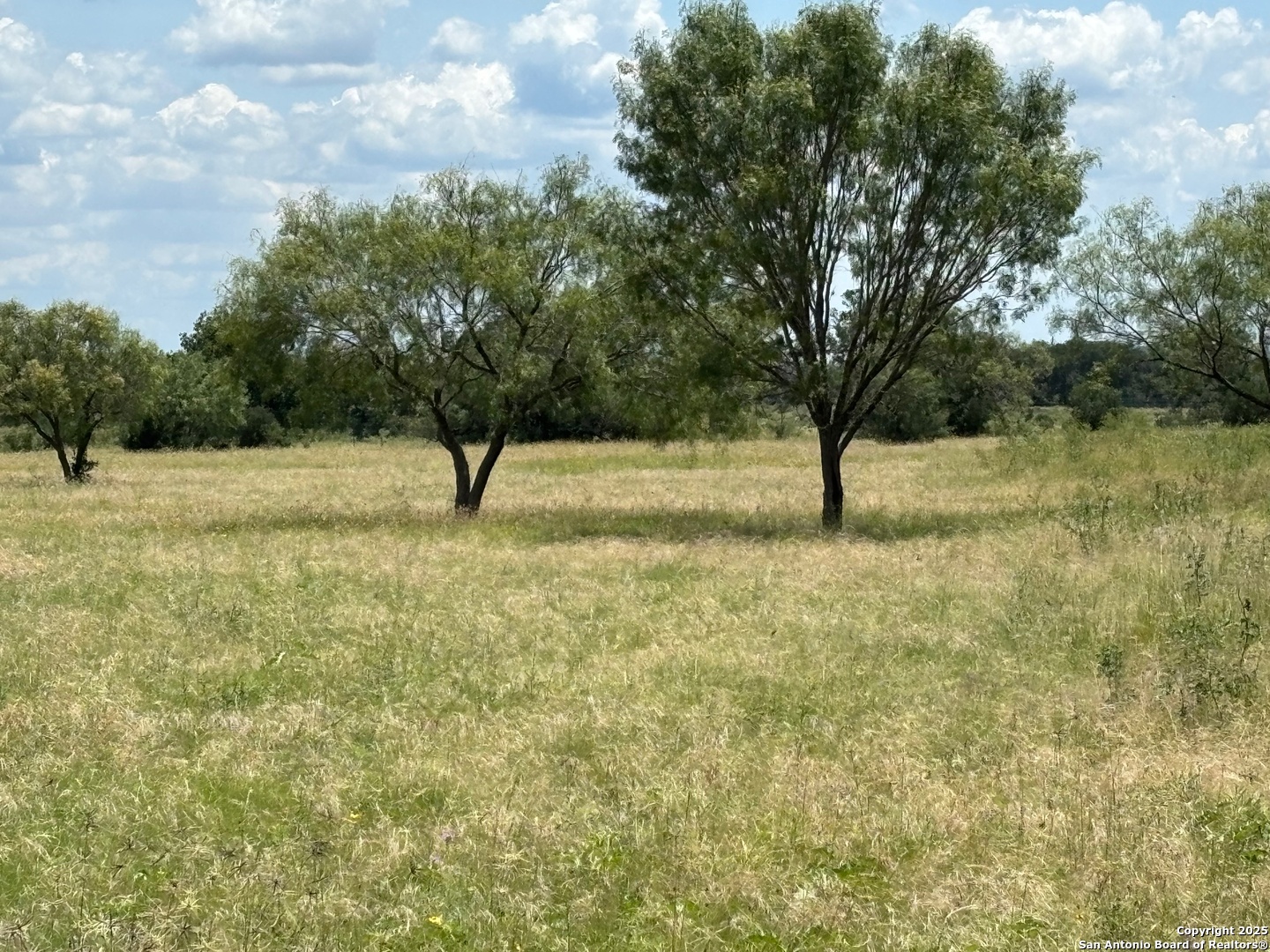 92 Ridge Loop Rio Frio, TX 78879 - Photo 14 of 16 a view of an outdoor space and yard