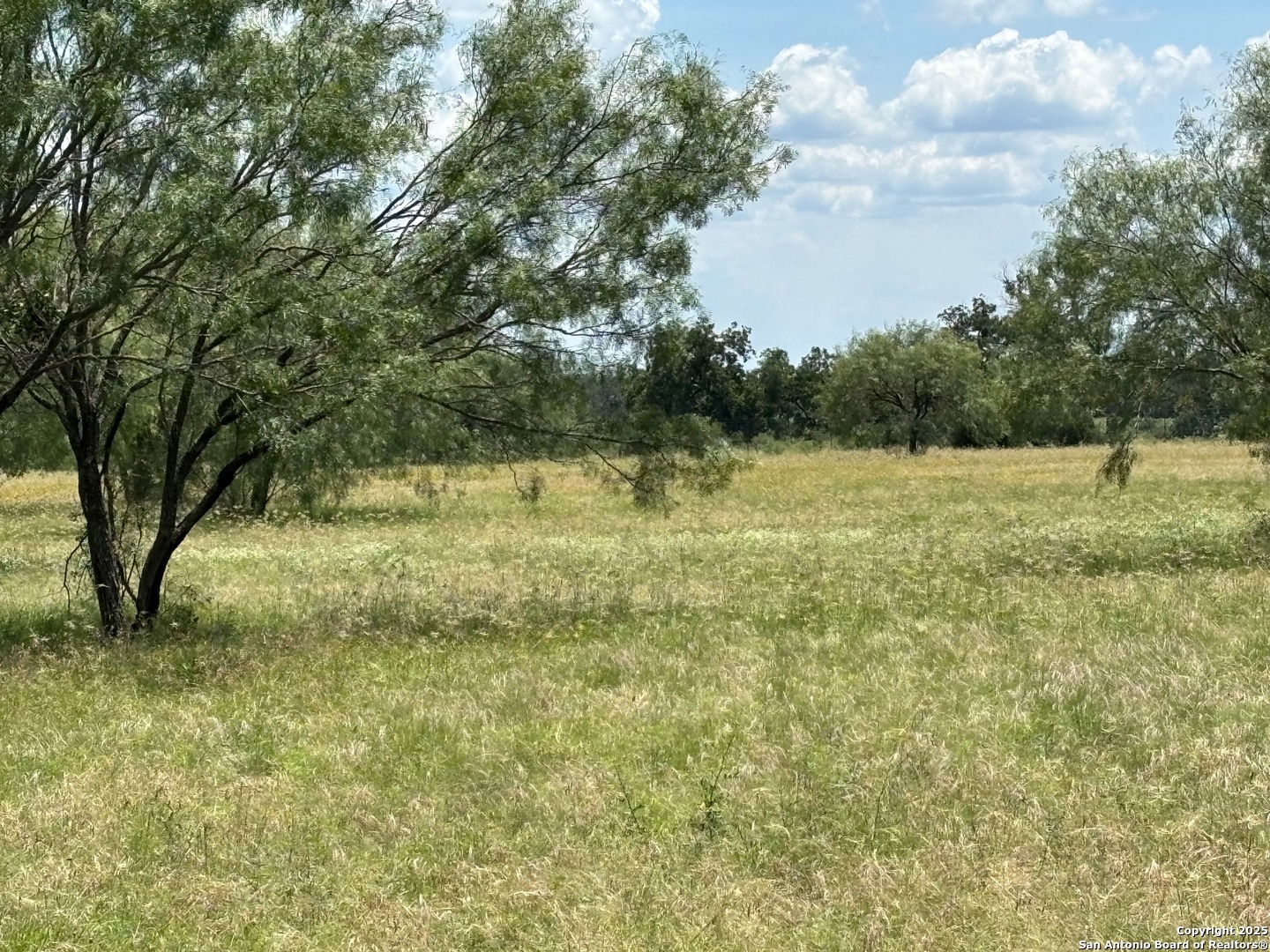92 Ridge Loop Rio Frio, TX 78879 - Photo 16 of 16 a view of outdoor space with trees all around