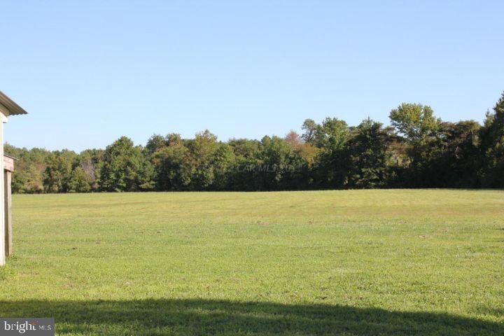 11413 Hodson White Road Dames Quarter, MD 21821 - Photo 3 of 17 Gallery Image 3