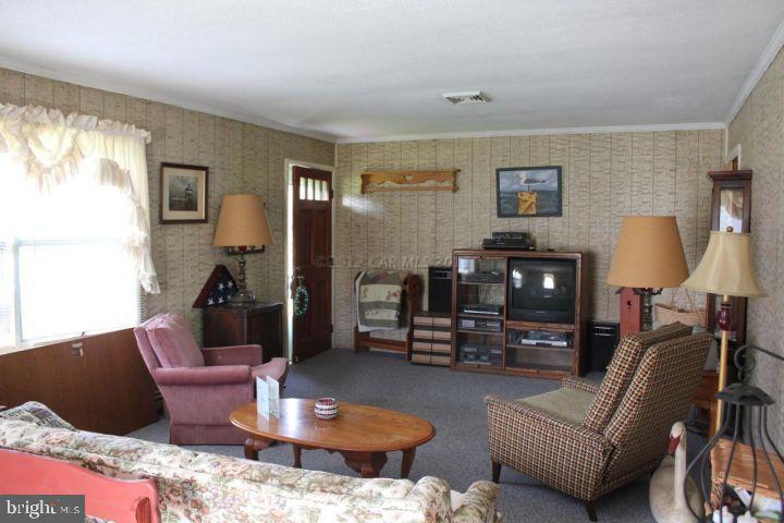 11413 Hodson White Road Dames Quarter, MD 21821 - Photo 9 of 17 Gallery Image 9