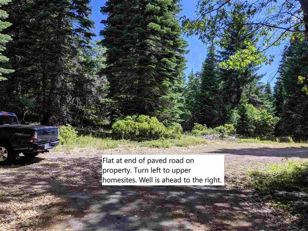 3 Deetz Road Rd Mount Mount Shasta, CA 96067 - Photo 14 of 37 Gallery Image 14