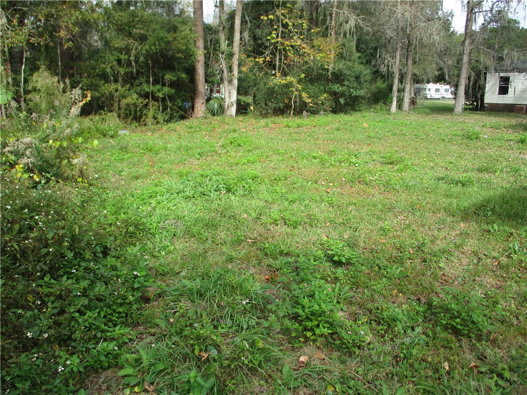 45029 Roberts Road Callahan, FL 32011 - Photo 8 of 9 a view of a tree in a yard