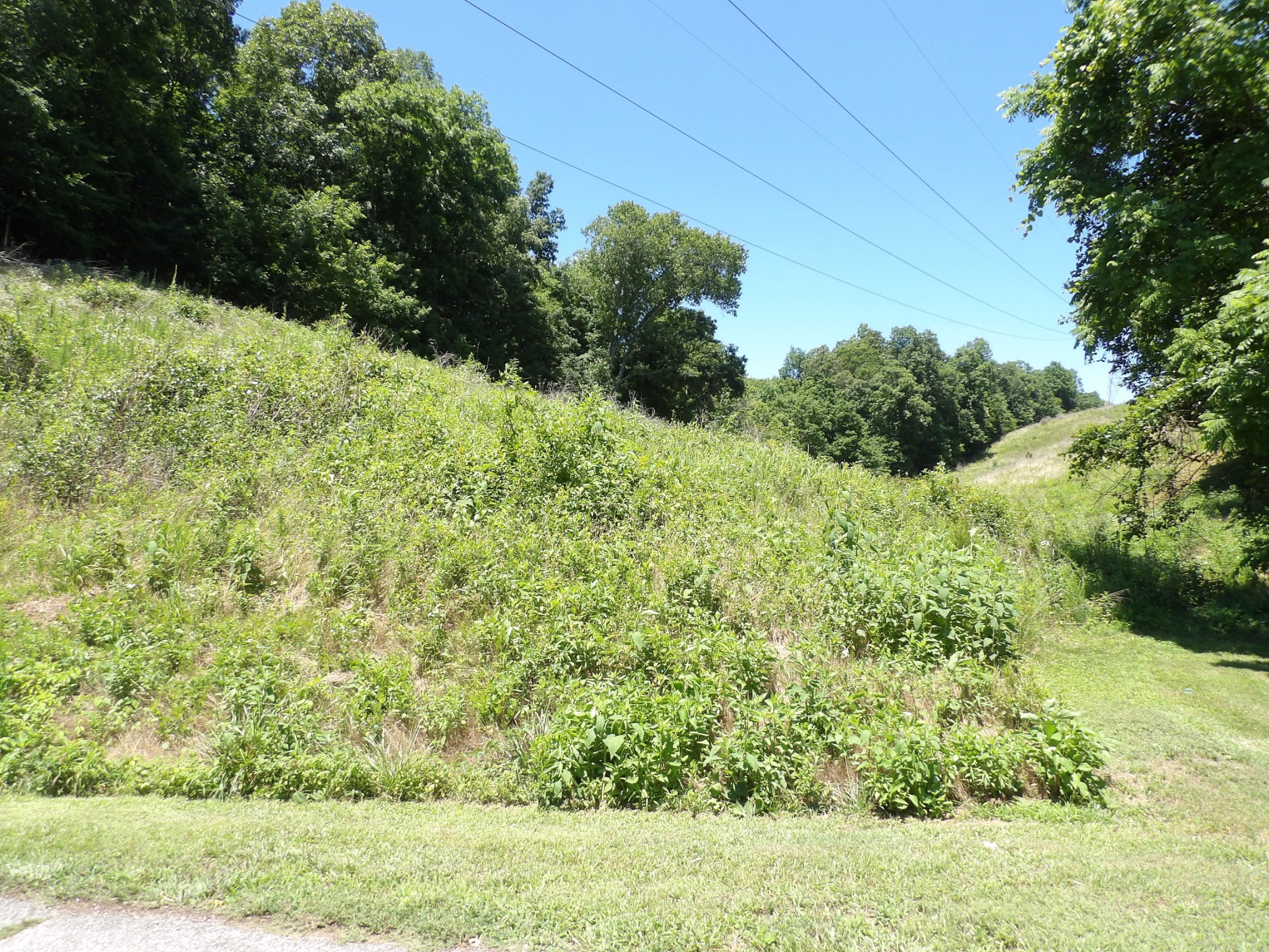 587 West Little Richland Road Waverly, TN 37185 - Photo 6 of 26