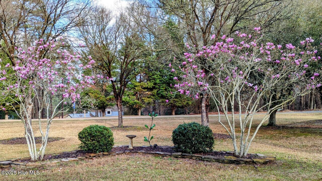 106 Palomino Road Carthage, NC 28327 - Photo 29 of 48 BEAUTIFUL LANDSCAPING SURROUNDS THIS HOME