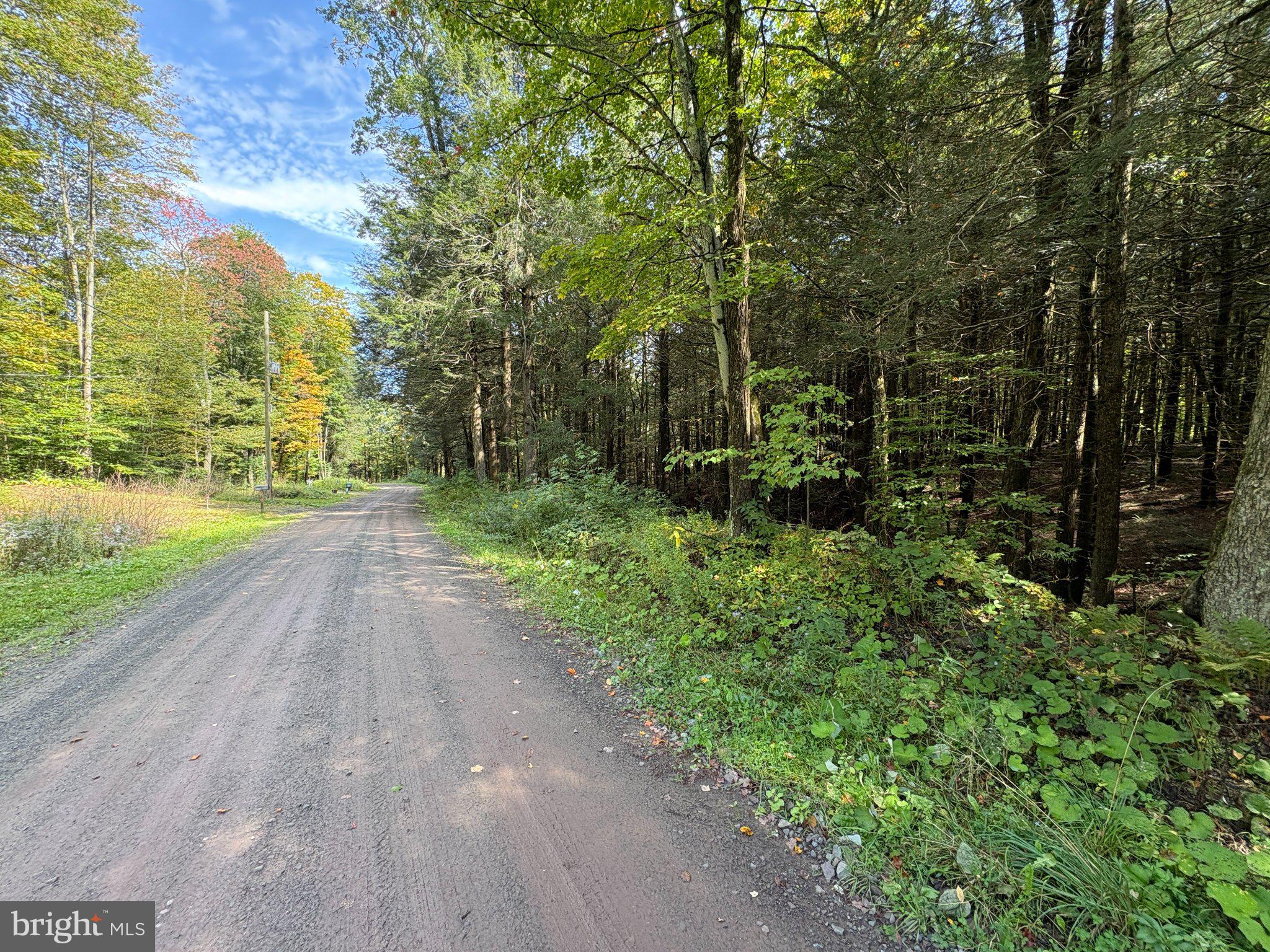 Fairmount Road Starrucca, PA 18462 - Photo 15 of 22 Gallery Image 15