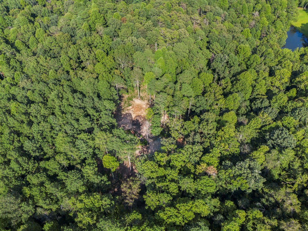 1080 Holt Road Ellijay, GA 30536 - Photo 10 of 17 Gallery Image 10