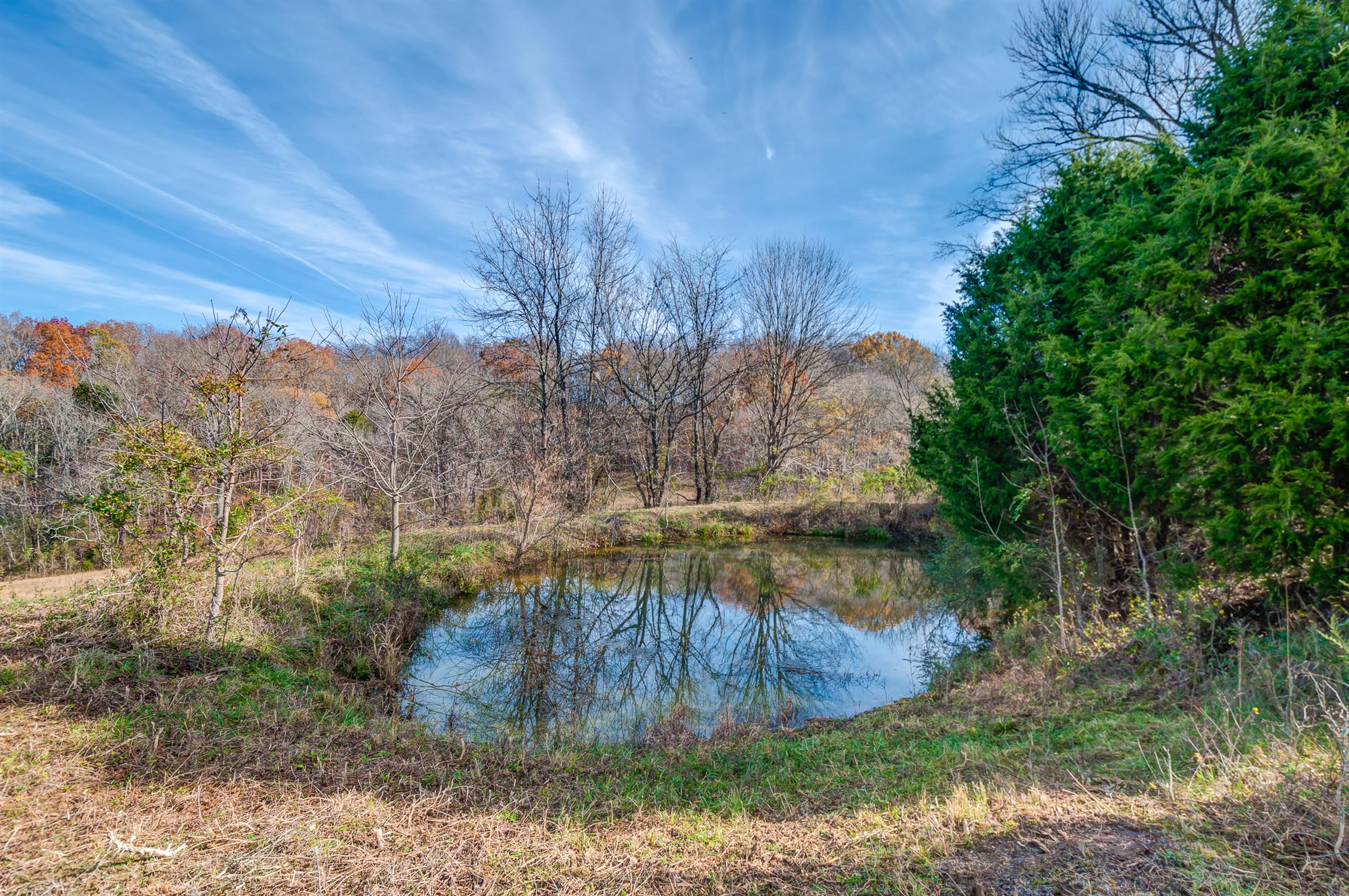 0 Mingo Branch Road Santa Fe, TN 38482 - Photo 3 of 8 a view of a lake with mountain in the background