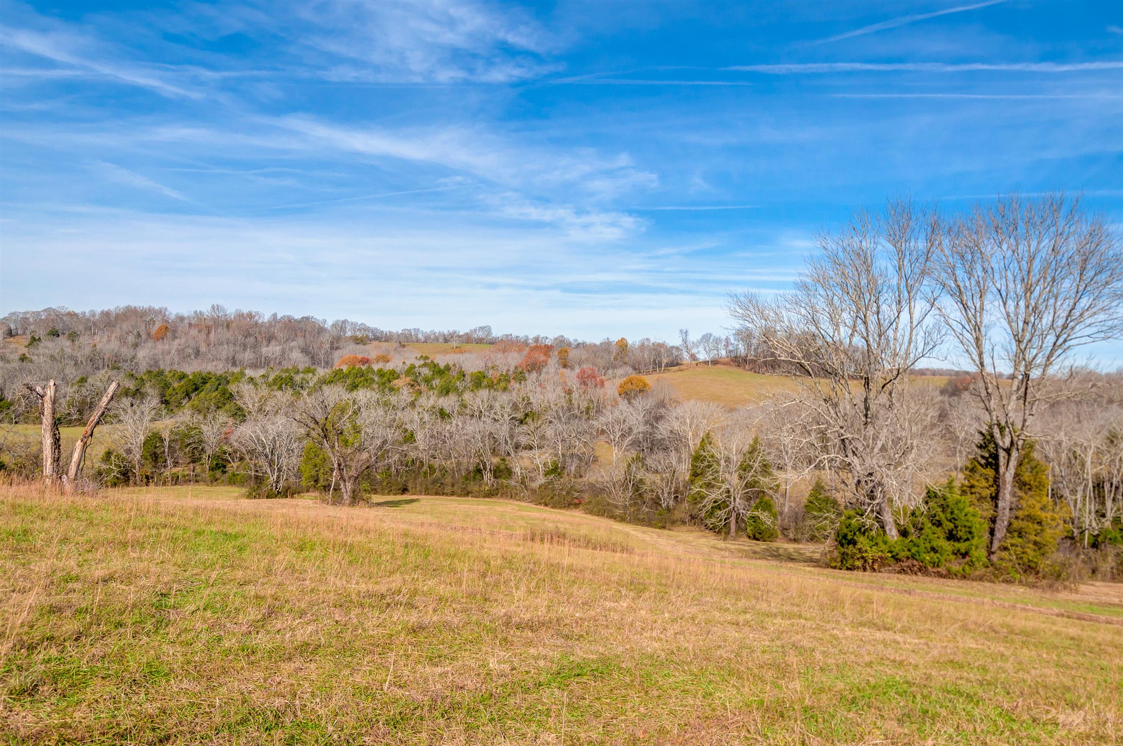 0 Mingo Branch Road Santa Fe, TN 38482 - Photo 5 of 8 a view of lake with mountain
