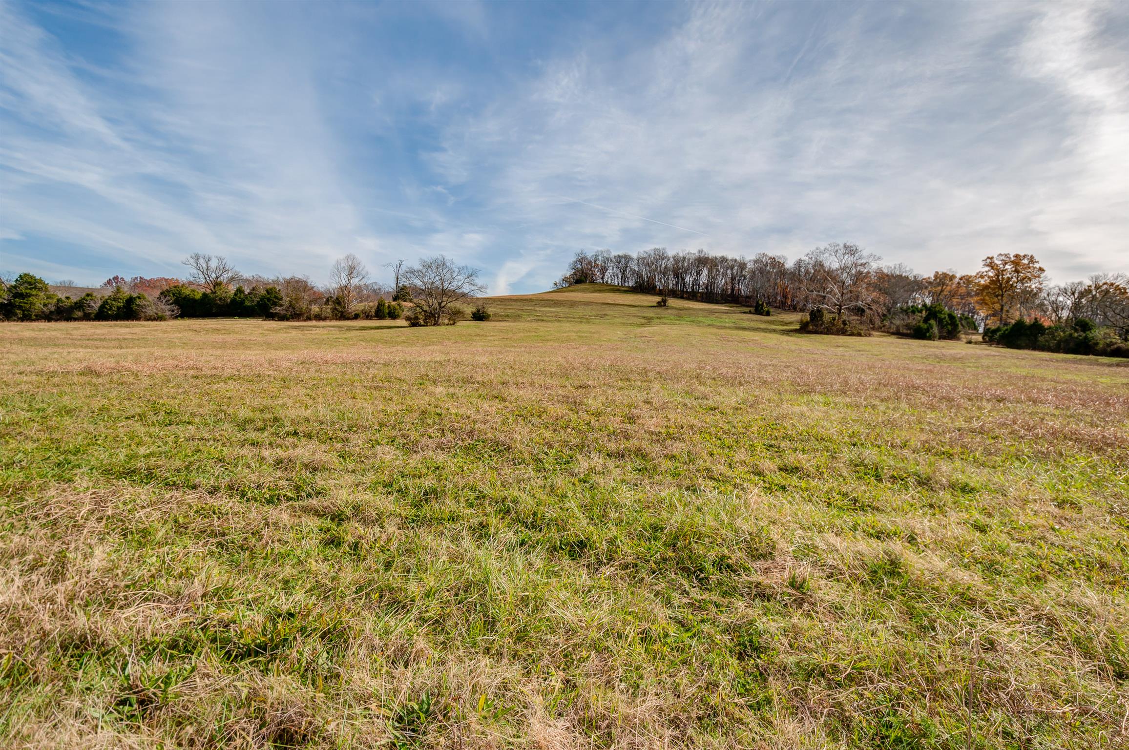 0 Mingo Branch Road Santa Fe, TN 38482 - Photo 6 of 8 a view of an ocean