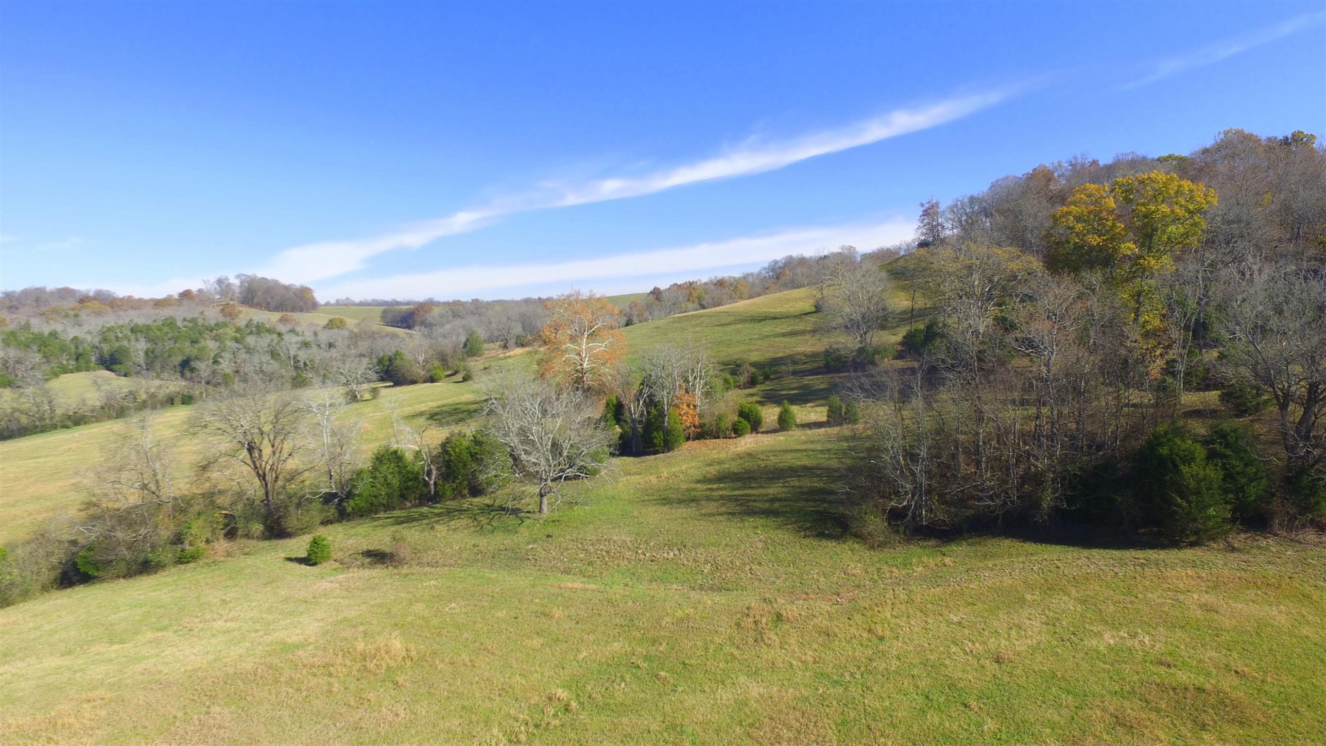 0 Mingo Branch Road Santa Fe, TN 38482 - Photo 7 of 8 a view of a dry yard with mountain