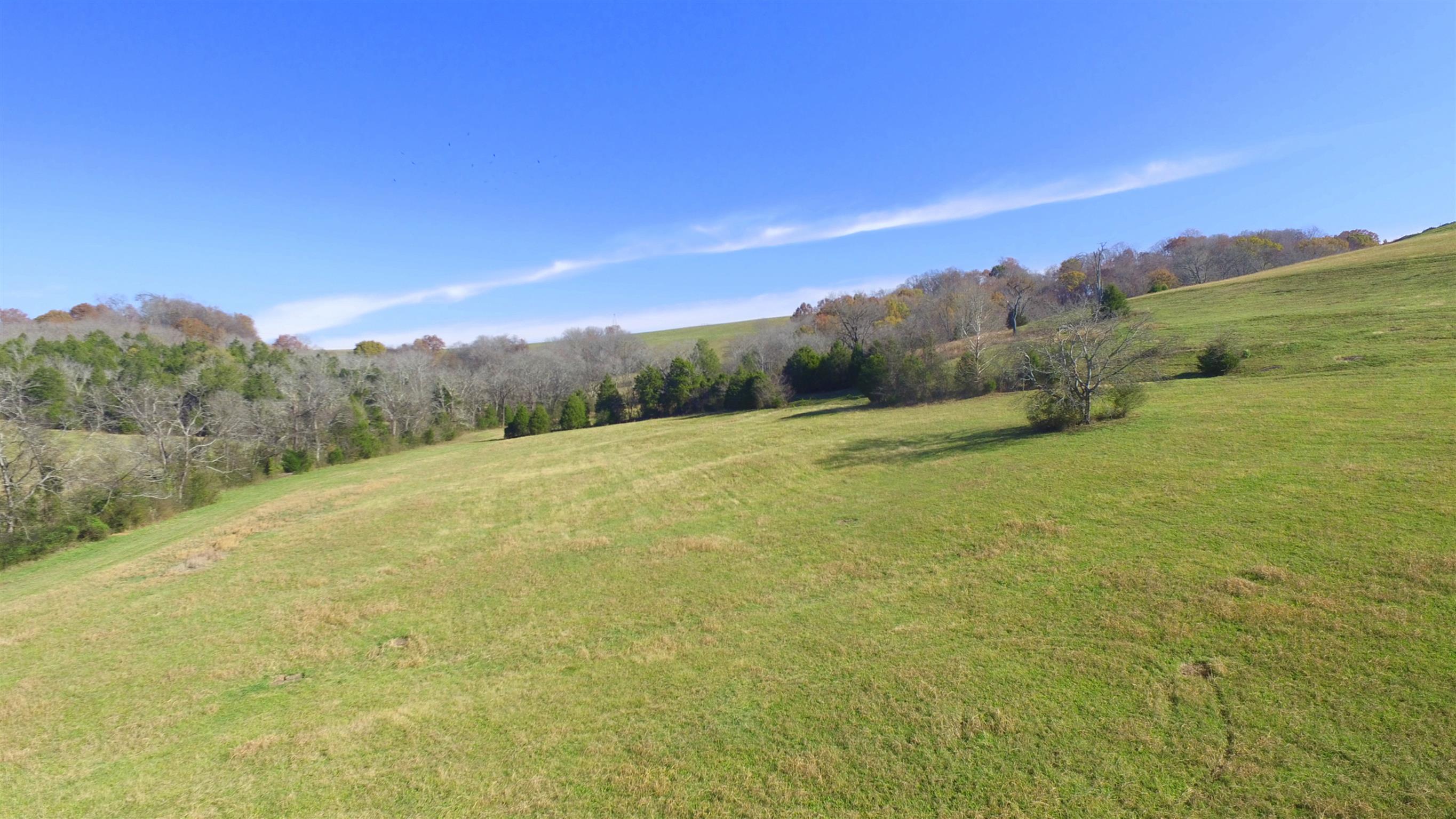 0 Mingo Branch Road Santa Fe, TN 38482 - Photo 8 of 8 a view of an outdoor space with mountain view