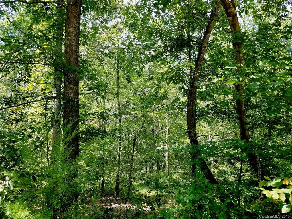 3434 St Stephens Church Road Mount Pleasant, NC 28124 - Photo 4 of 6 Gallery Image 4