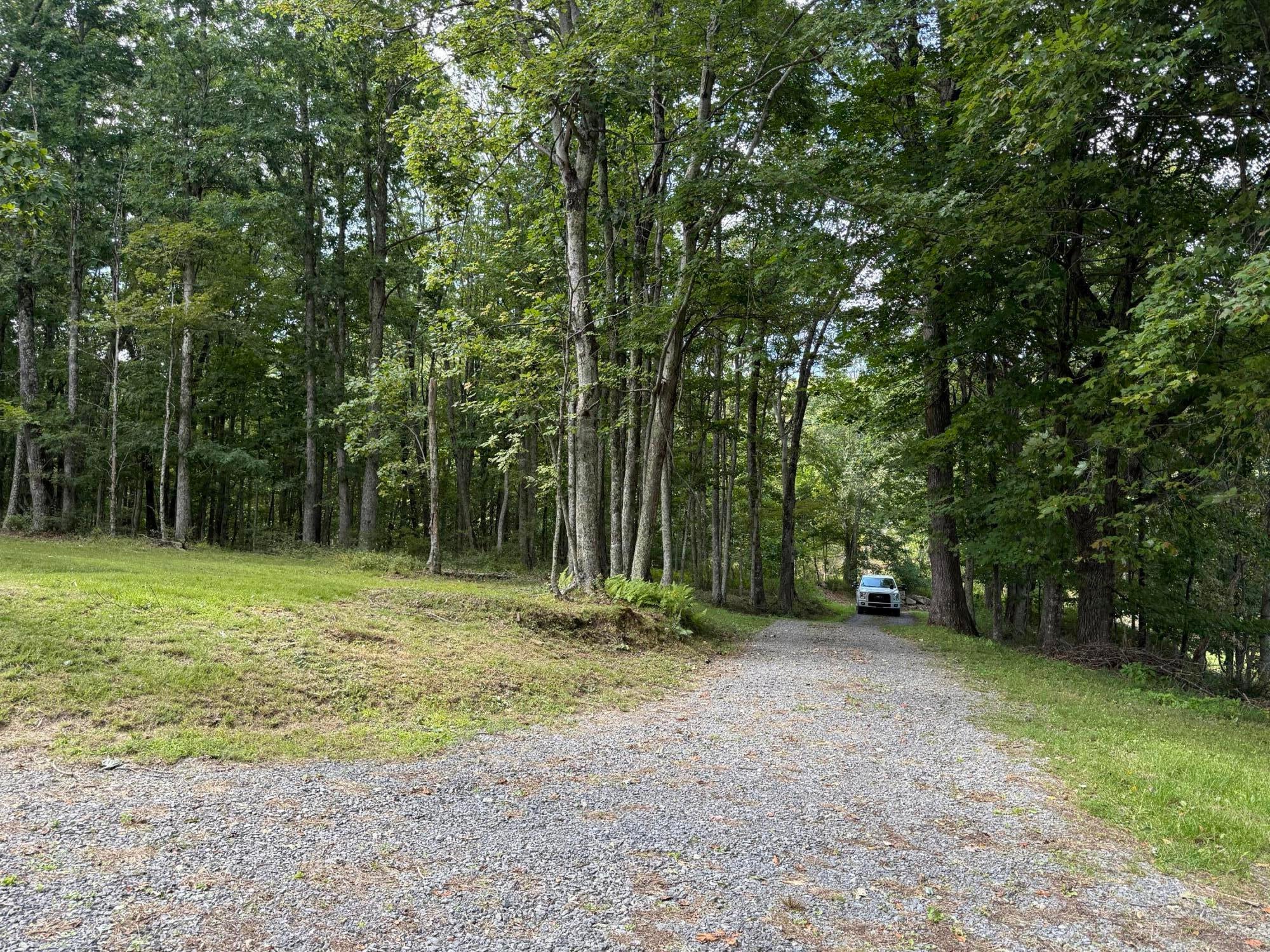 51 Russlyn Ridge Ln Union Union, WV 24983 - Photo 124 of 175 Gallery Image 124