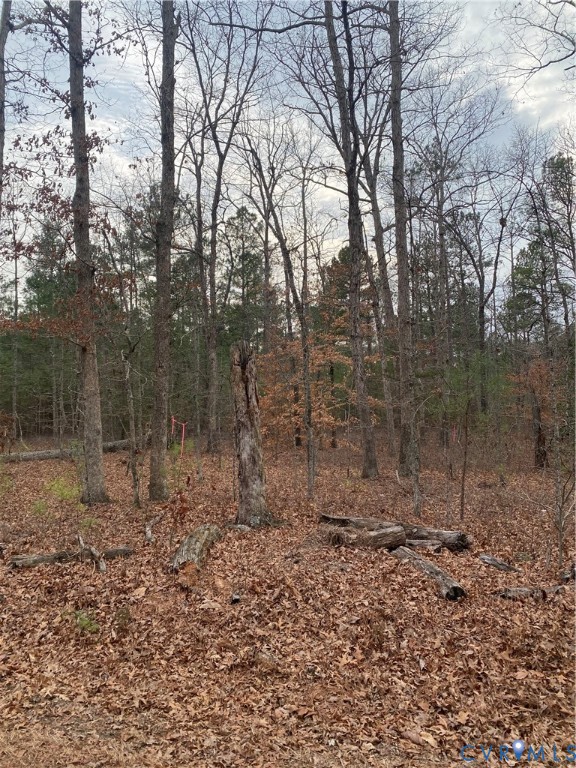0 Courtney Road Hanover, VA 23069 - Photo 6 of 6 View of nature