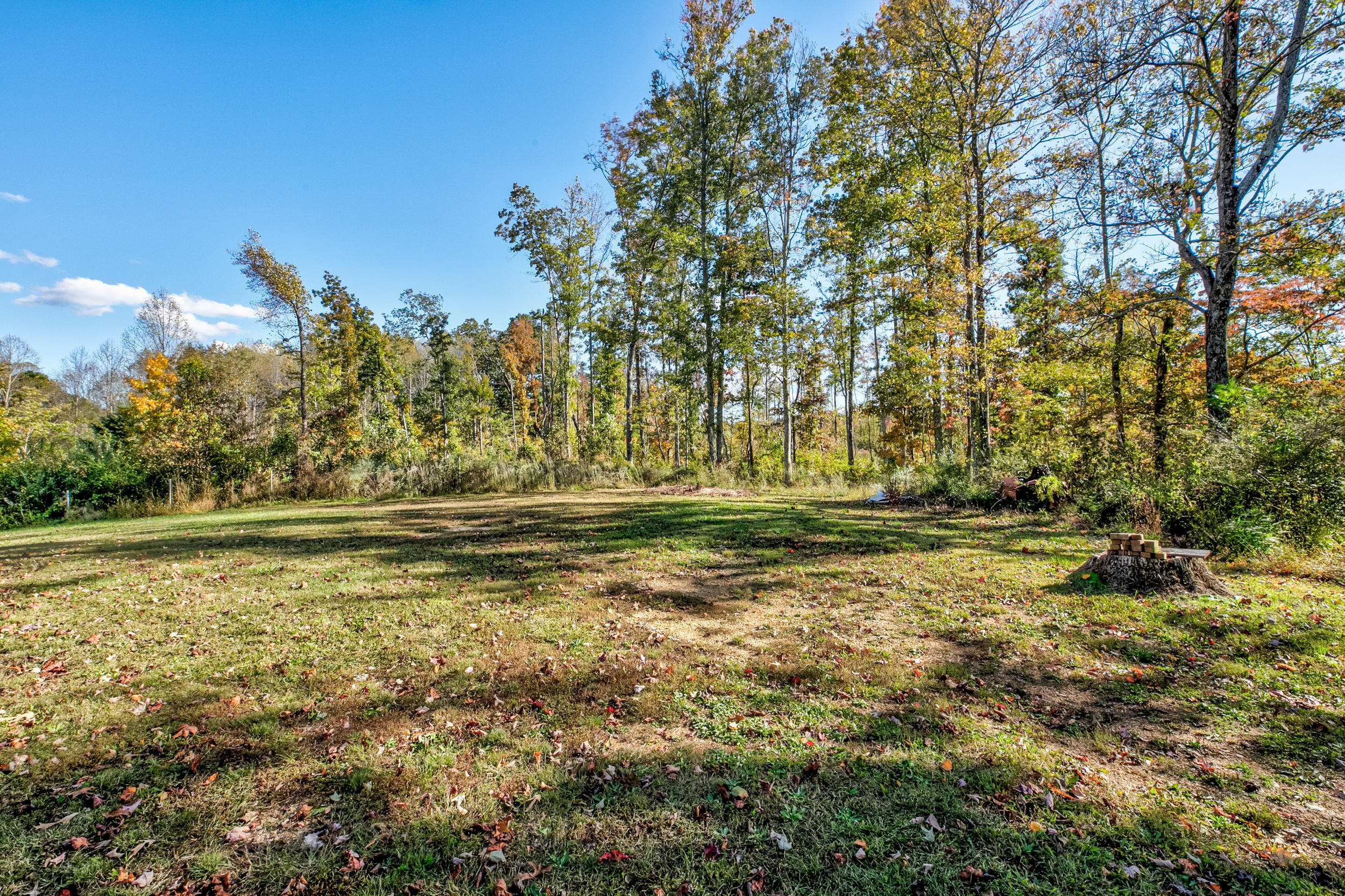768 Davis Chapel Road La Follette, TN 37766 - Photo 27 of 33 private acreage