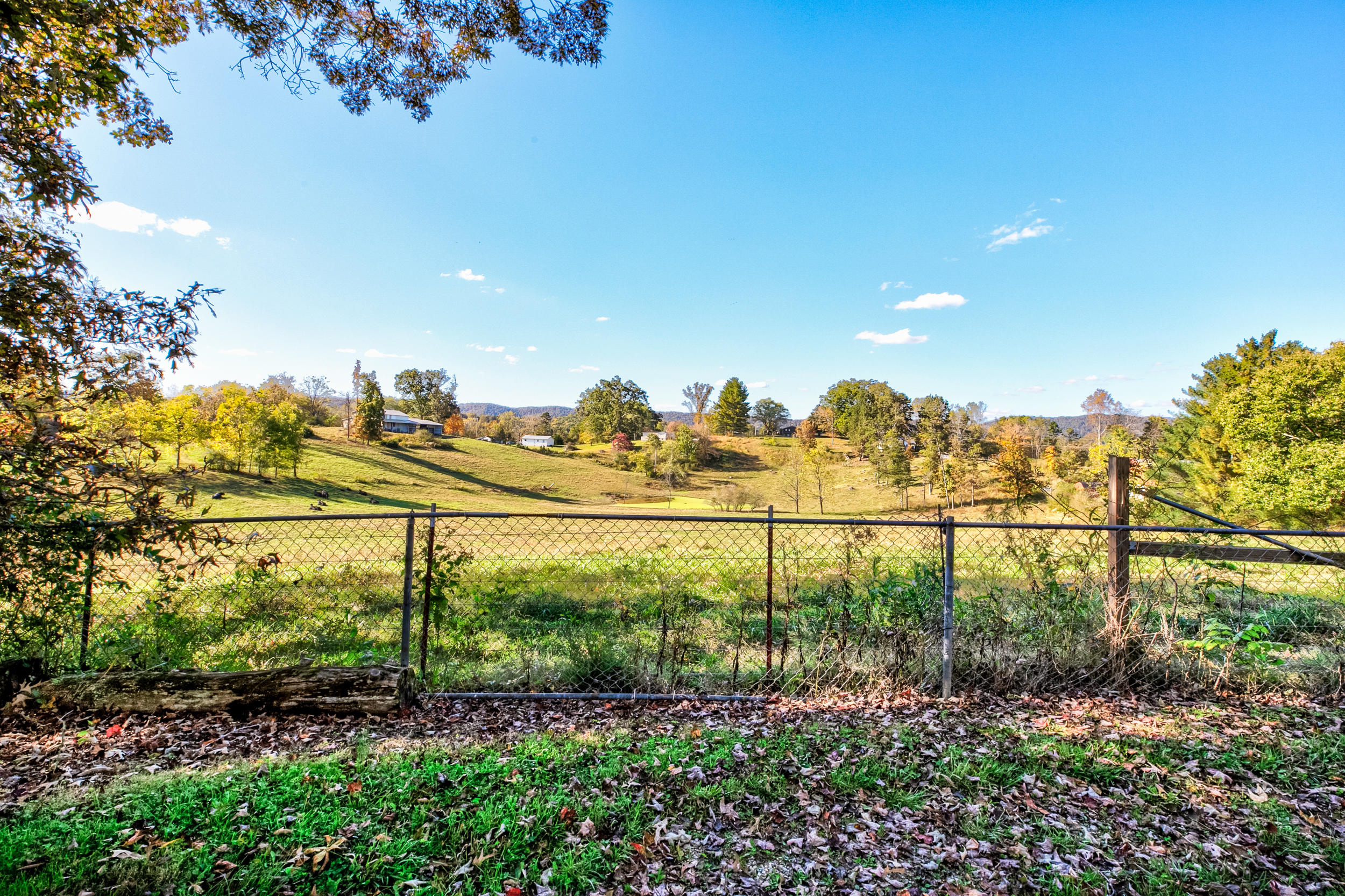 768 Davis Chapel Road La Follette, TN 37766 - Photo 28 of 33 beautiful backyard view