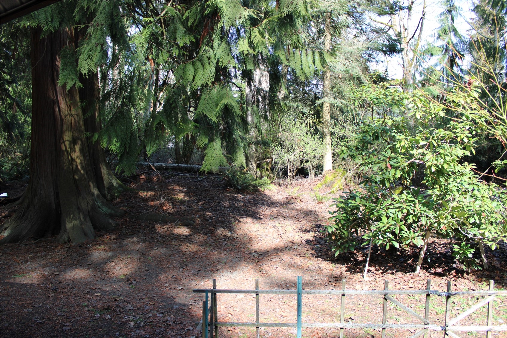 365 Dungeness Meadows Sequim, WA 98382 - Photo 20 of 28 a view of yard