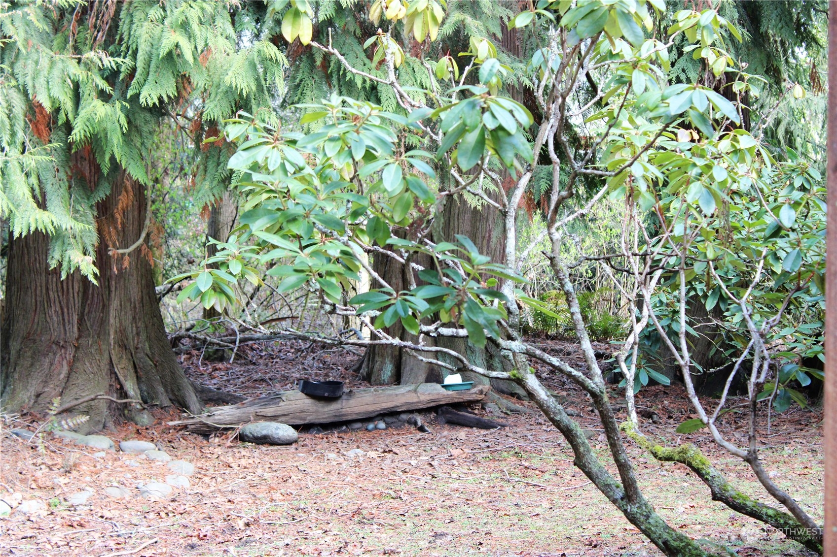 365 Dungeness Meadows Sequim, WA 98382 - Photo 25 of 28 a view of a yard with plants and trees