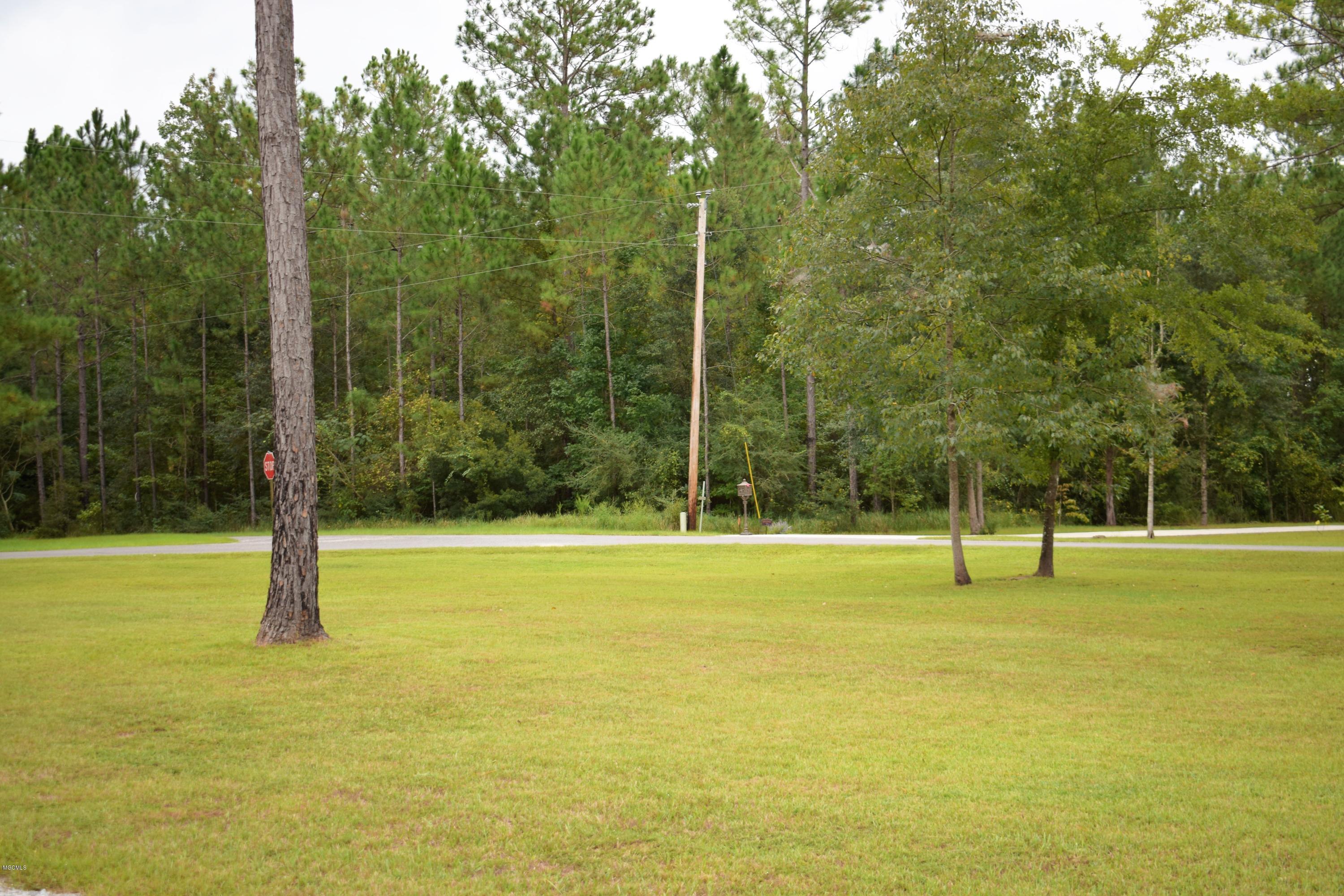213 Blue Spring Road Lucedale, MS 39452 - Photo 36 of 38 DSC_0009