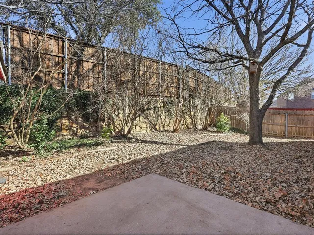 a view of a yard with a tree