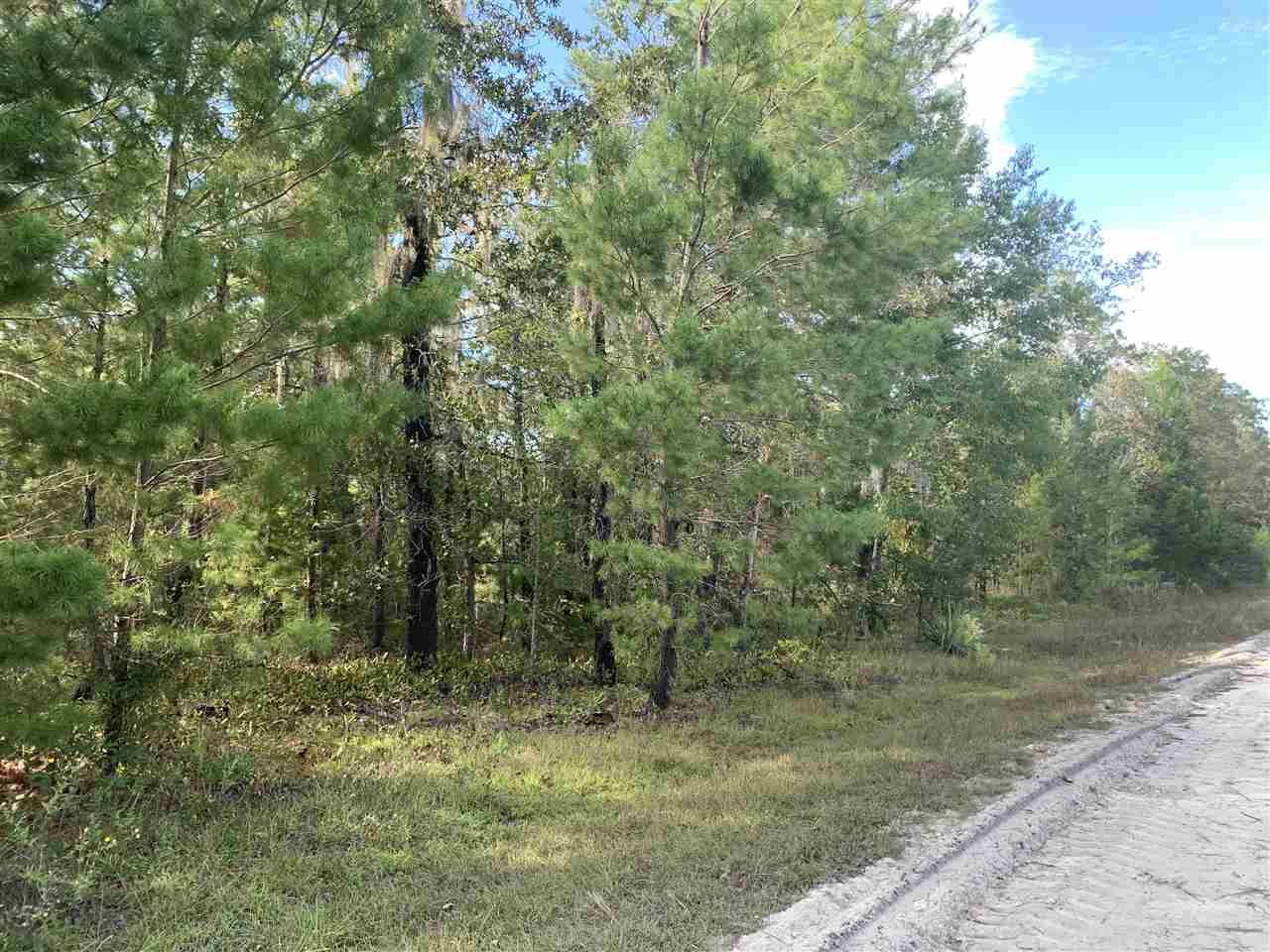 Lot 29 Reed Drive Perry, FL 32348 - Photo 1 of 19 Gallery Image 1