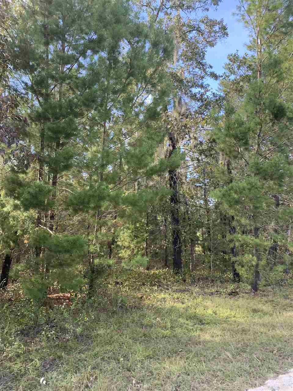 Lot 29 Reed Drive Perry, FL 32348 - Photo 11 of 19 Gallery Image 11