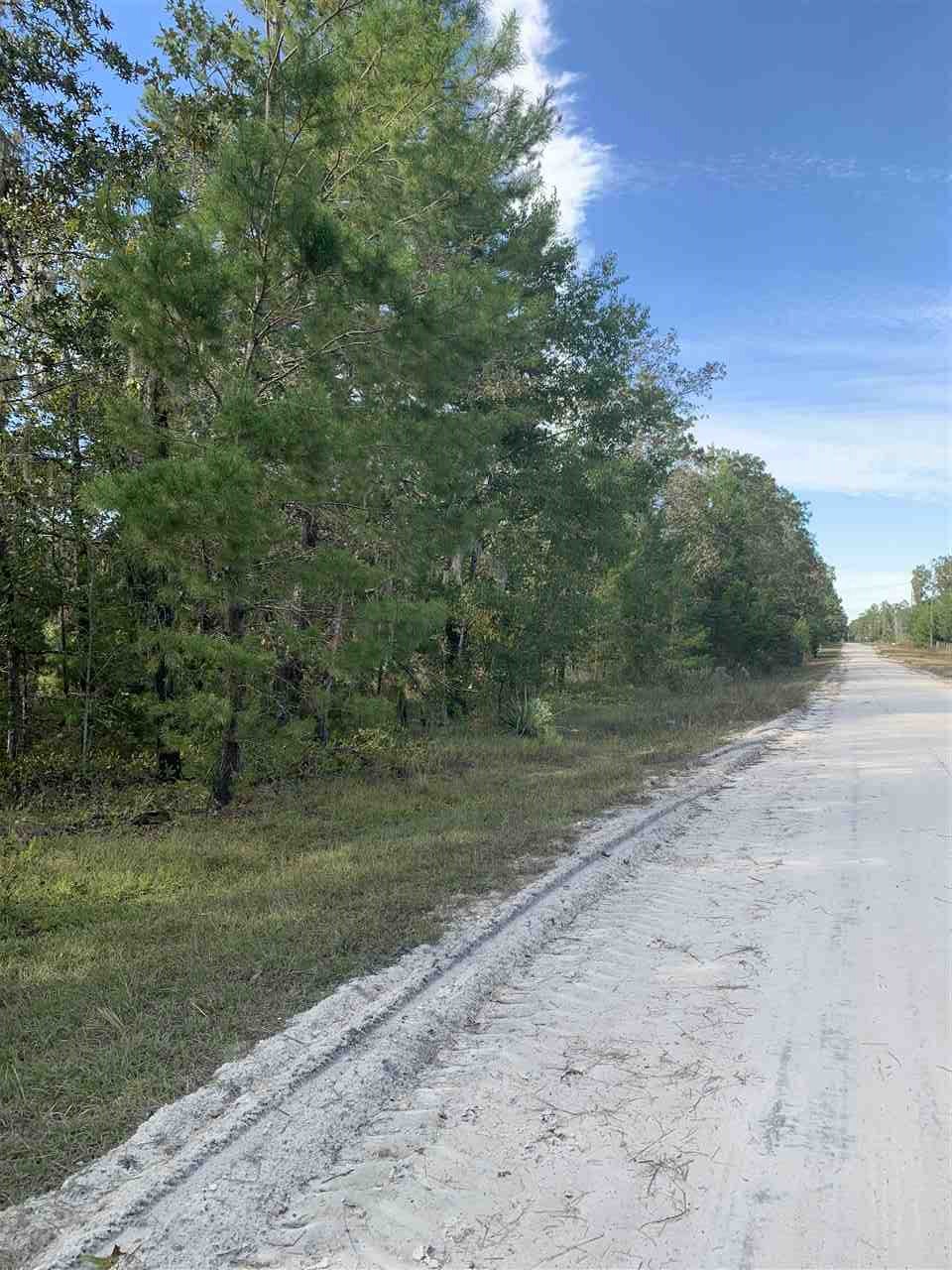 Lot 29 Reed Drive Perry, FL 32348 - Photo 15 of 19 Gallery Image 15