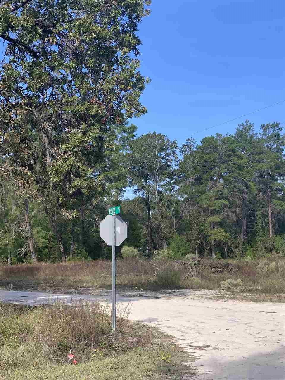 Lot 29 Reed Drive Perry, FL 32348 - Photo 18 of 19 Gallery Image 18
