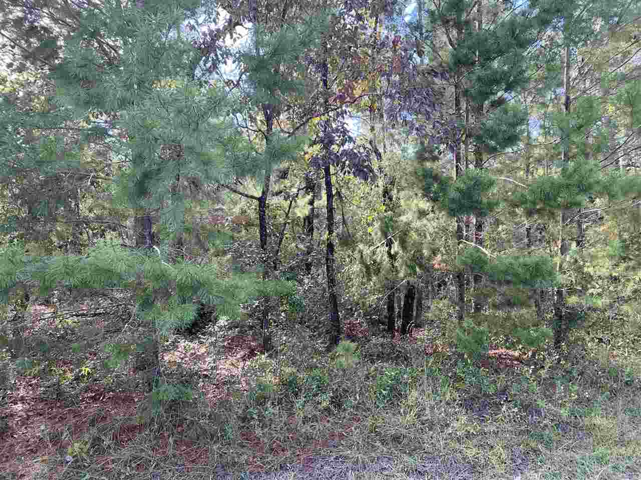 Lot 29 Reed Drive Perry, FL 32348 - Photo 4 of 19 Gallery Image 4