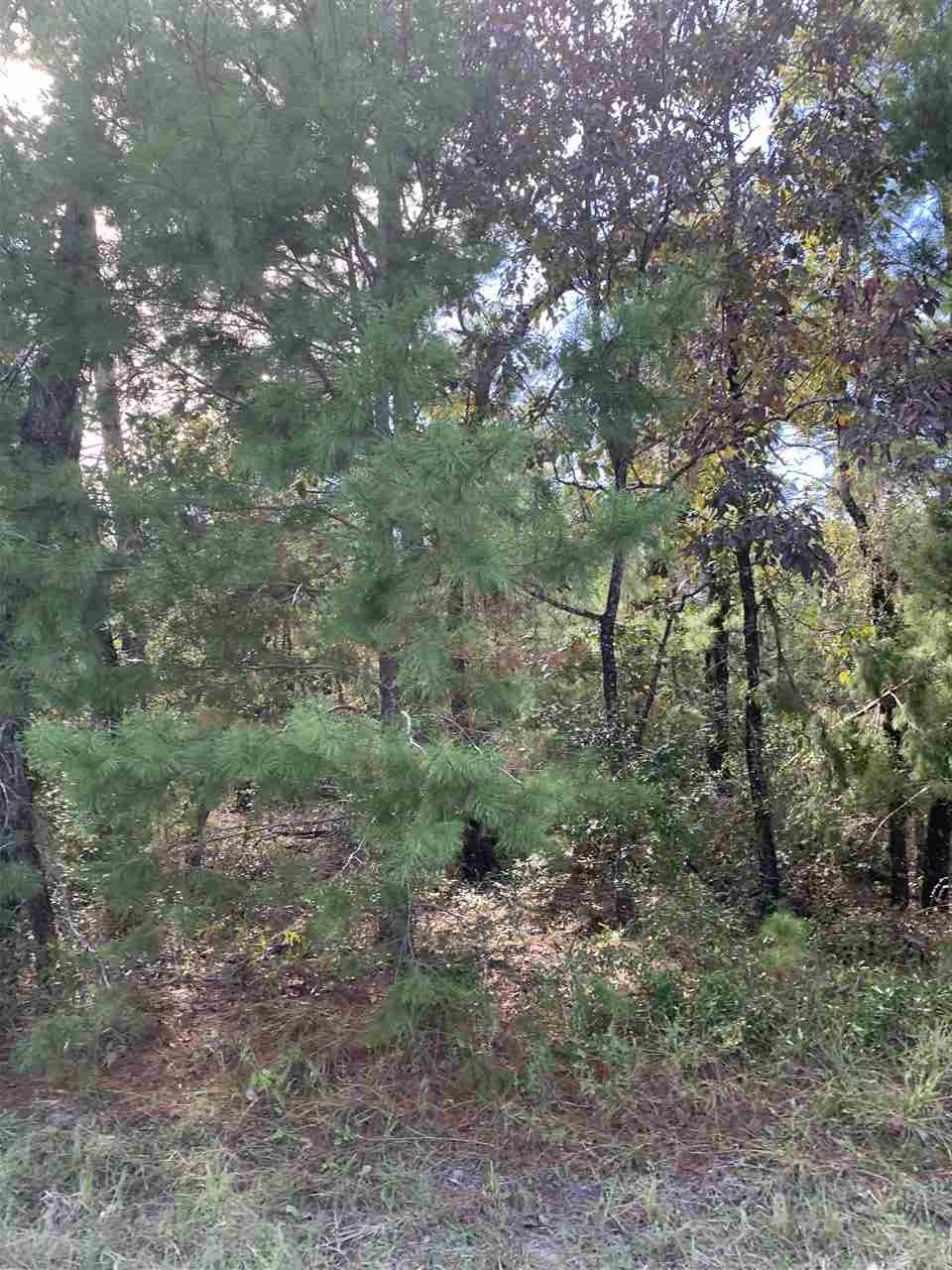 Lot 29 Reed Drive Perry, FL 32348 - Photo 6 of 19 Gallery Image 6