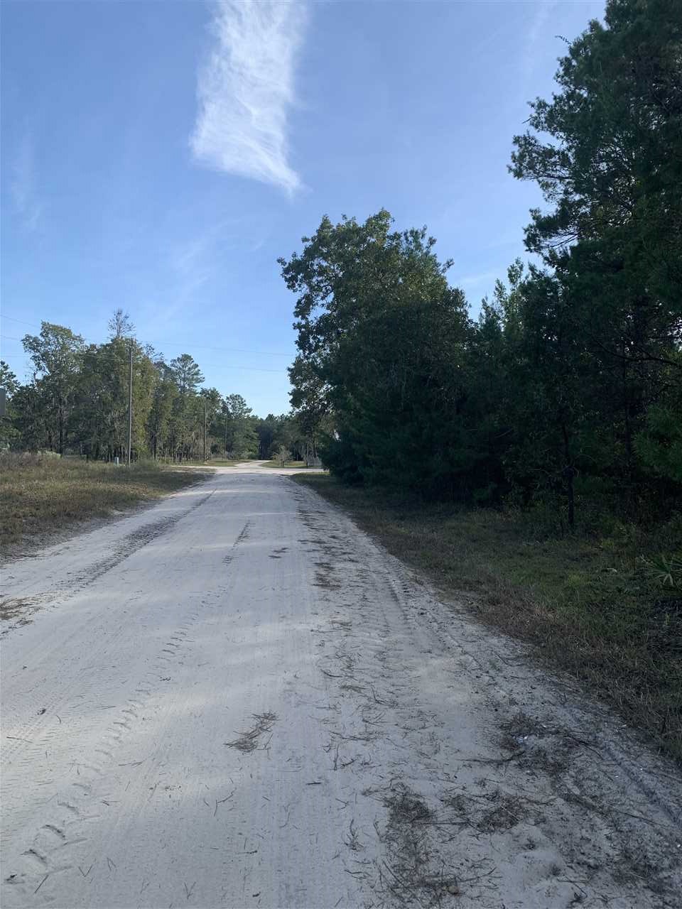 Lot 29 Reed Drive Perry, FL 32348 - Photo 8 of 19 Gallery Image 8
