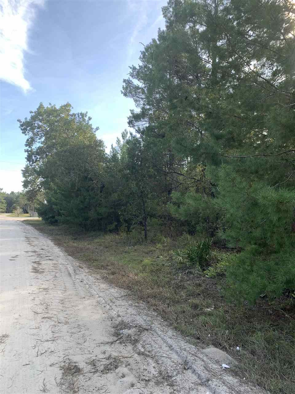 Lot 29 Reed Drive Perry, FL 32348 - Photo 9 of 19 Gallery Image 9