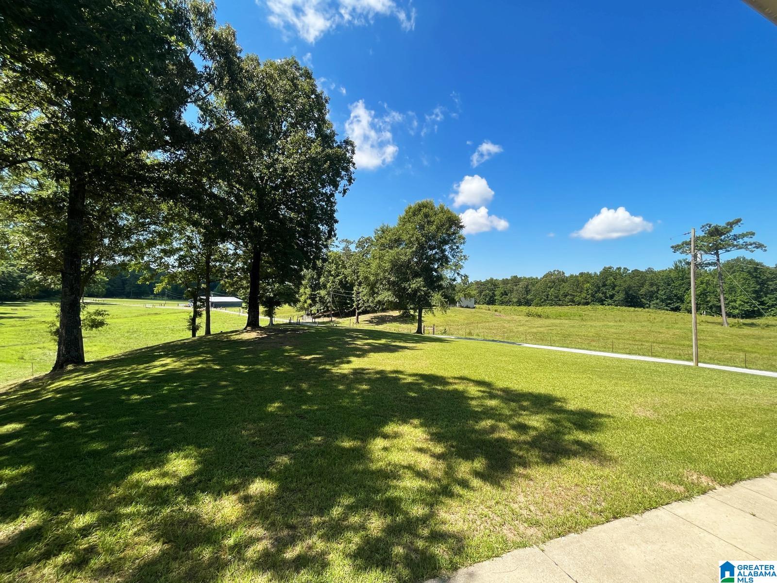 2081 Ross Lake Road Wellington, AL 36279 - Photo 3 of 42 Gallery Image 3