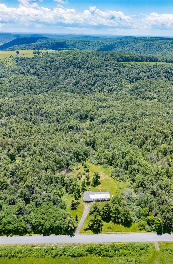 1970 Hornby Road Orange, NY 14812 - Photo 12 of 38