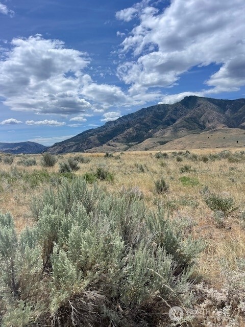 0 Lot 1 Bill Shaw Road Pateros, WA 98846 - Photo 3 of 23